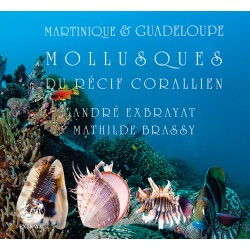 Mollusques du recif corallien (livre 2)